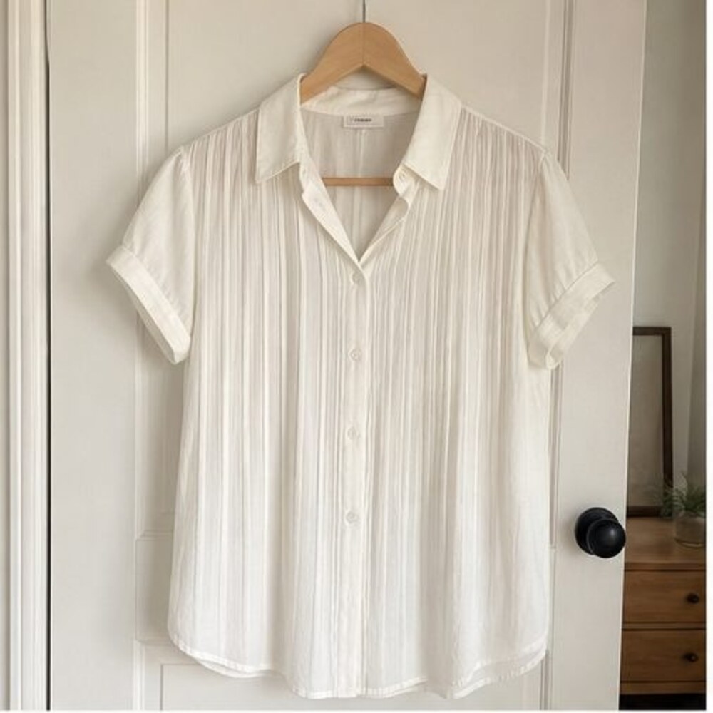 Ivory Pleated Blouse